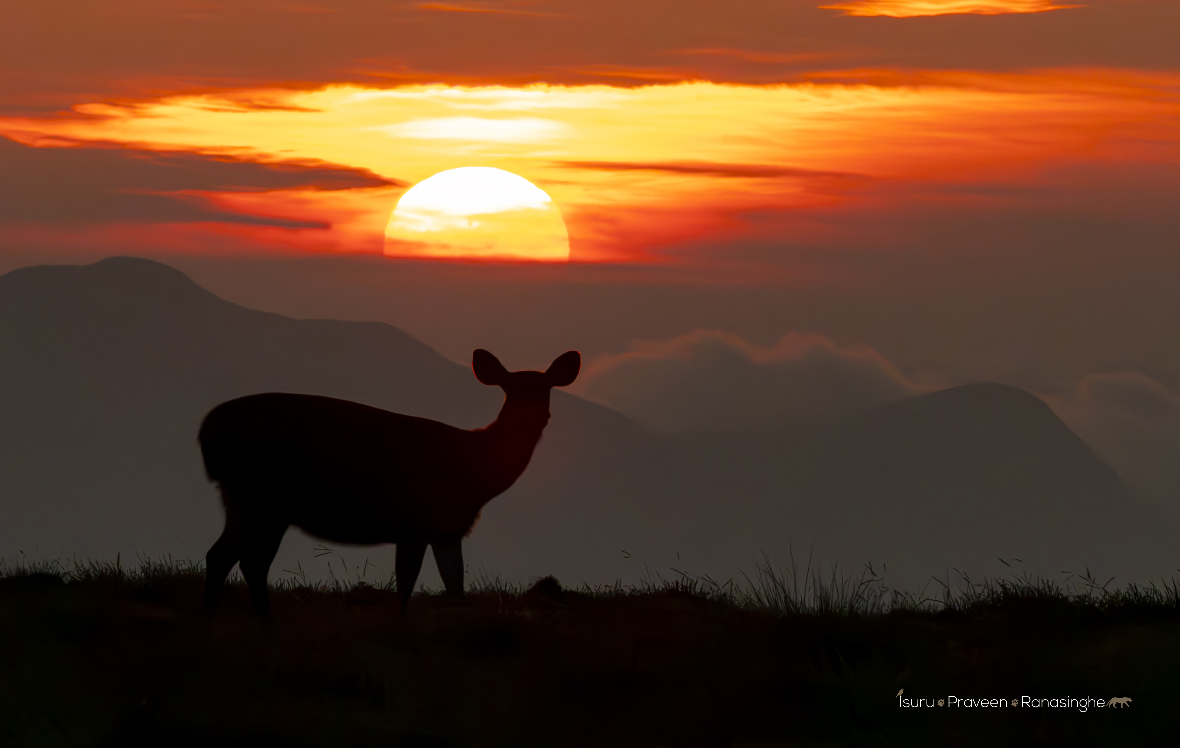 Horton Plains Highland Trek photo 4